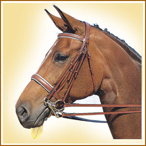 Weymouth Bridle Complete 