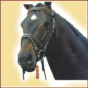 Snaffle Bridle