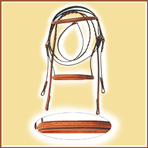 Snaffle Bridle