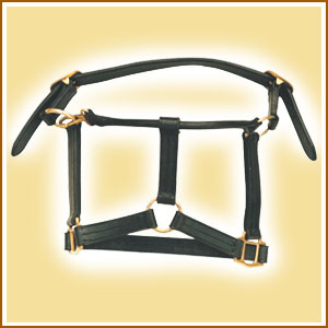 Stable Head Collar In Double Leather