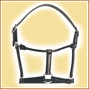Stable Head Collar In Double Leather